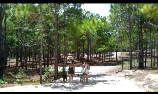 Camping Novas Palmeiras Florianópolis Exteriér fotografie