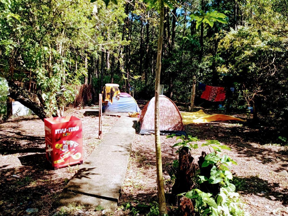 Camping Novas Palmeiras Florianópolis Exteriér fotografie